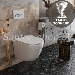 Инсталляции GROHE 38772001+унитаз Roxen Antares Tornado 530205-01 (торнадо)- фото4