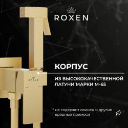 Смеситель с псевдобиде Roxen Santi 50096000-GB (брашированное золото)- фото3